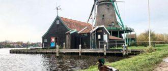 мельницы нидерланды